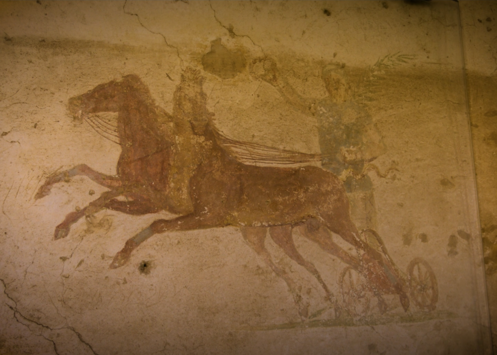 A man on a chariot drawn by two horses going right to left. One horse is turning its head